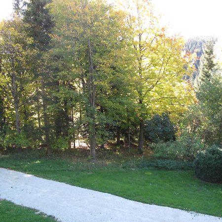 Ferienhaus Zweihaeusl Mönichkirchen エクステリア 写真